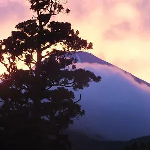 華の宿　ふくや 4*, 箱根町 日本